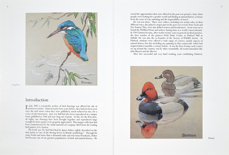 A Life of Birds Page
