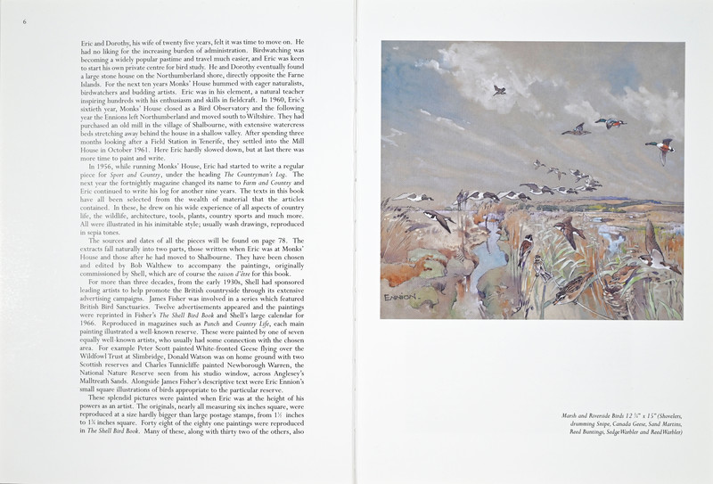 A Life of Birds Page