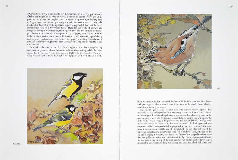 A Life of Birds Page