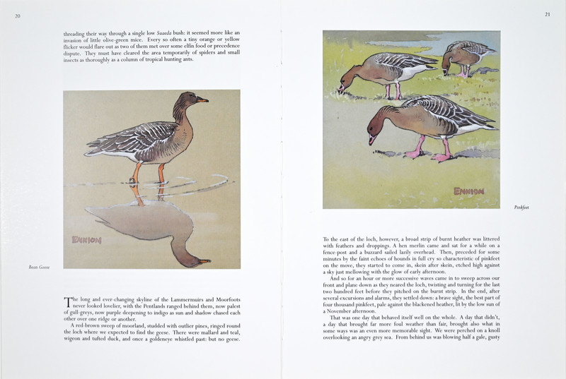 A Life of Birds Page