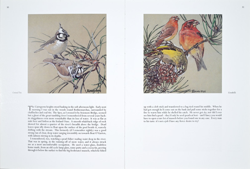 A Life of Birds Page