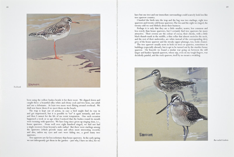 A Life of Birds Page