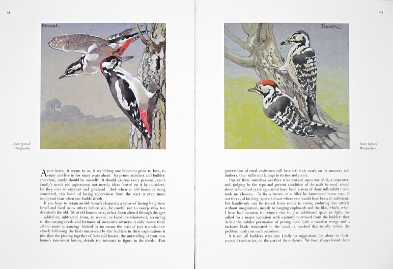 A Life of Birds Page