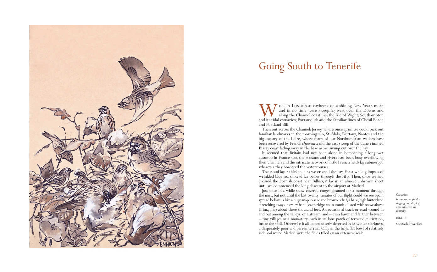 A Tenerife Diary, Eric Ennion