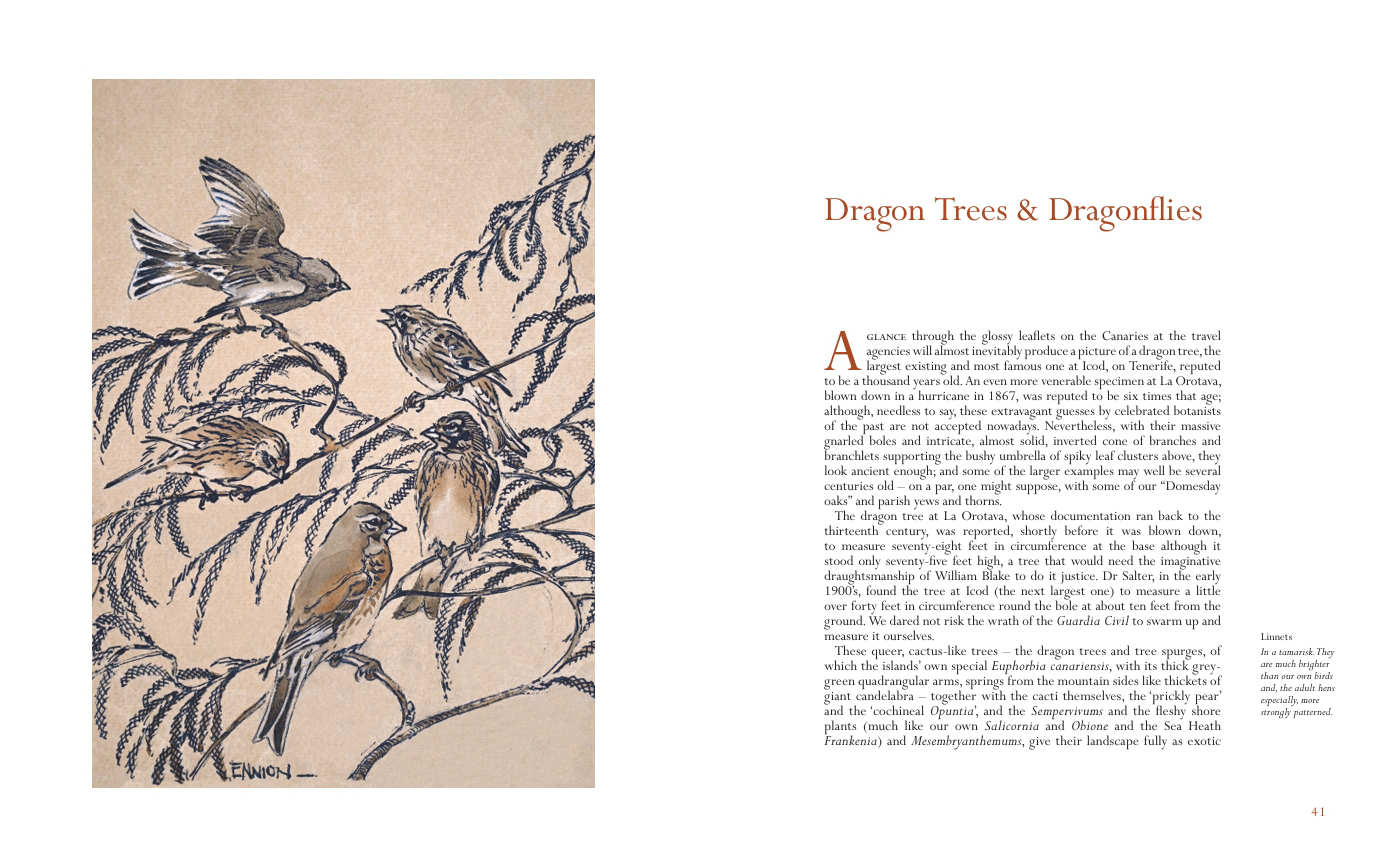 A Tenerife Diary, Eric Ennion