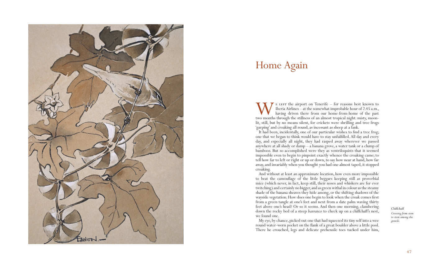 A Tenerife Diary, Eric Ennion