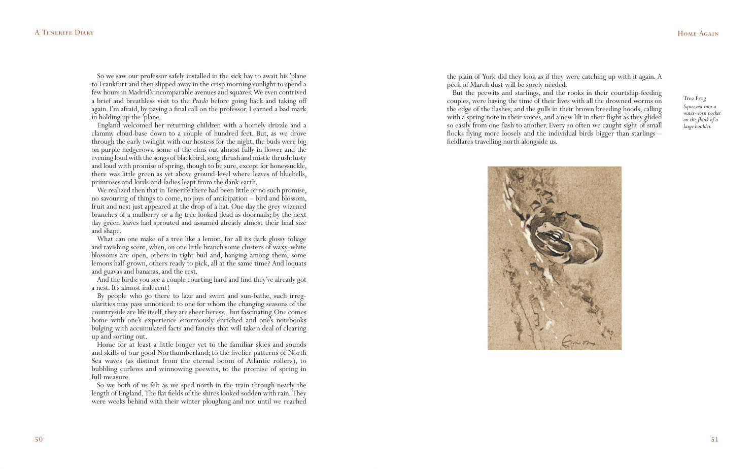 A Tenerife Diary, Eric Ennion