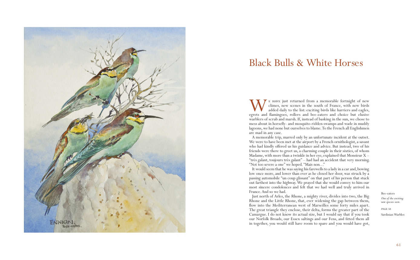 A Tenerife Diary, Eric Ennion