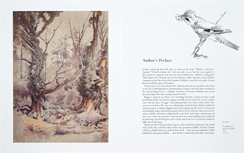 Bird Man's River Page