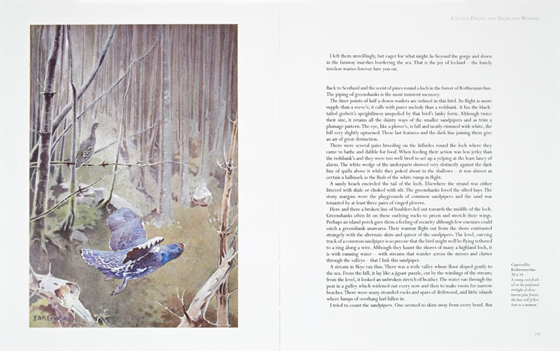 Bird Man's River Page