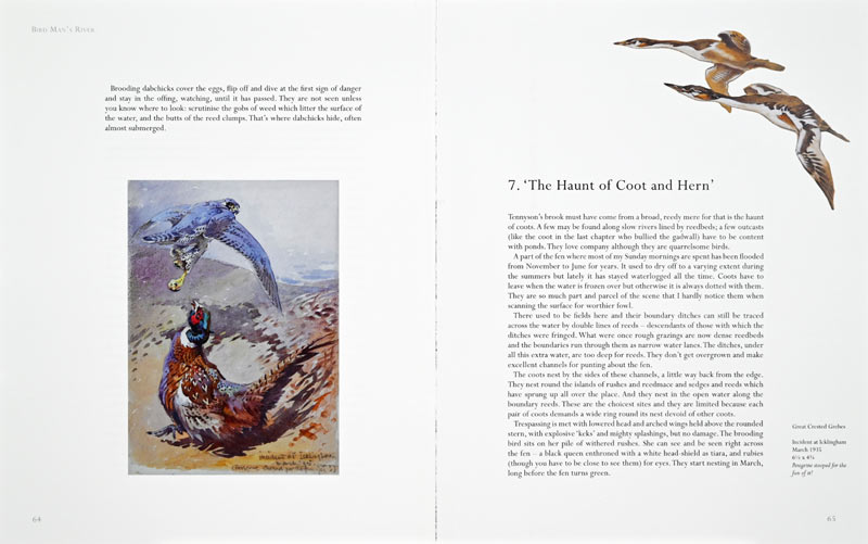 Bird Man's River Page