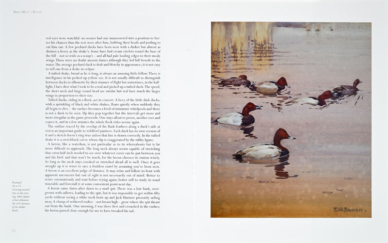 Bird Man's River Page