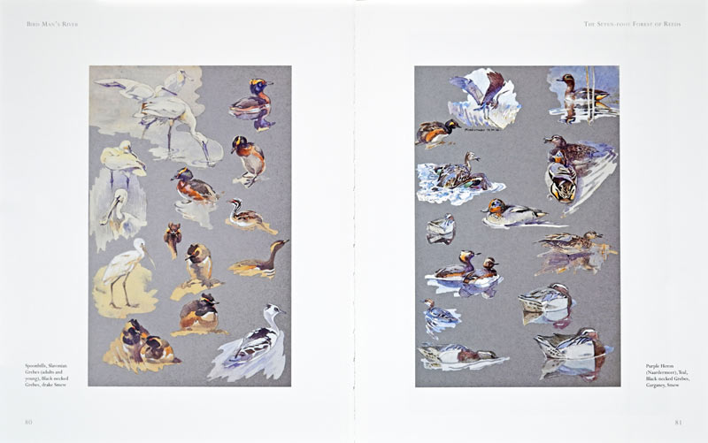 Bird Man's River Page