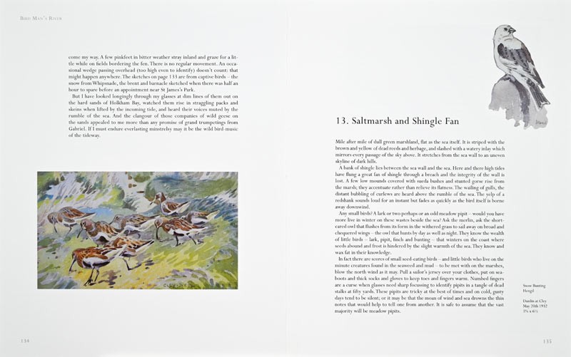 Bird Man's River Page