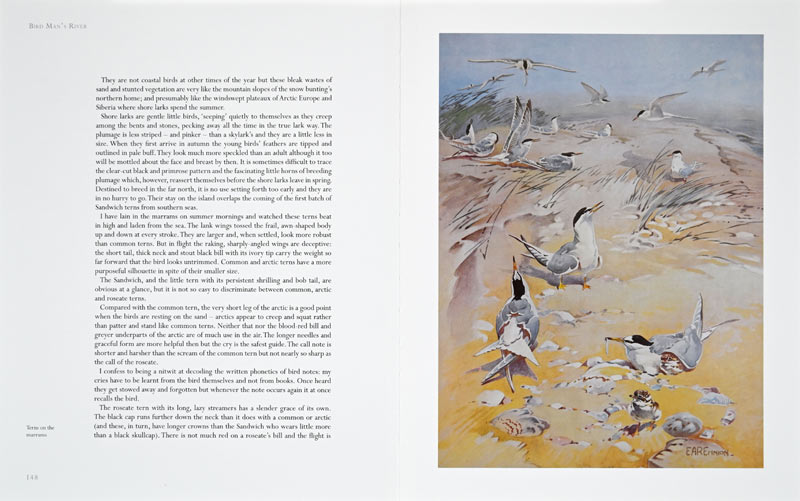 Bird Man's River Page