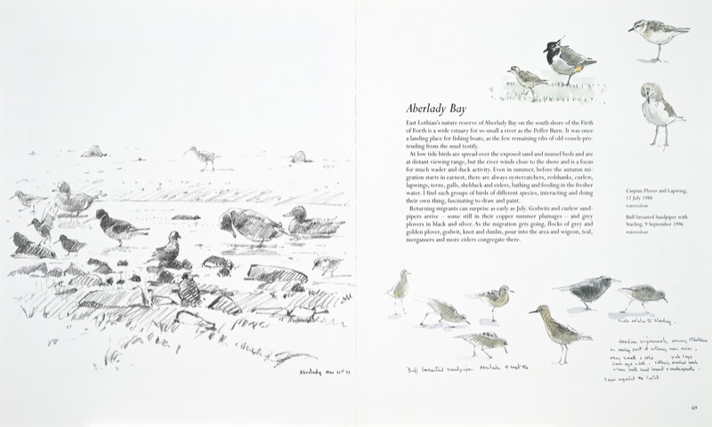 Land Marks & Sea Wings