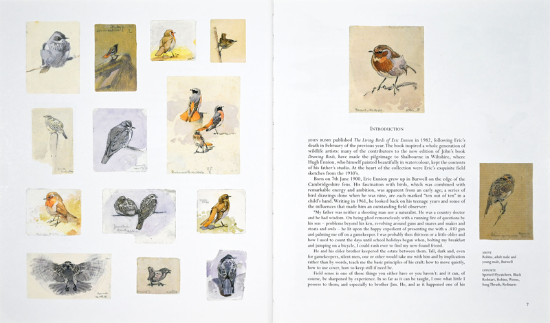 One Man's Birds Page