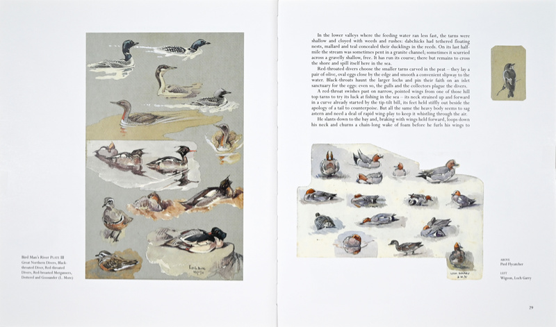 One Man's Birds Page