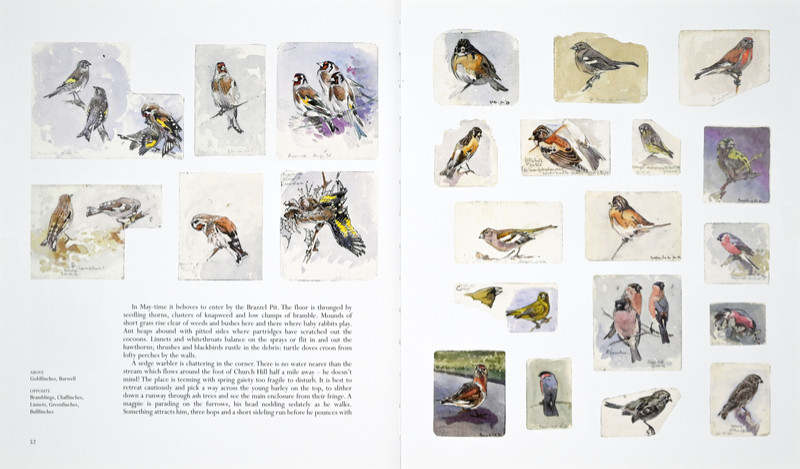 One Man's Birds Page