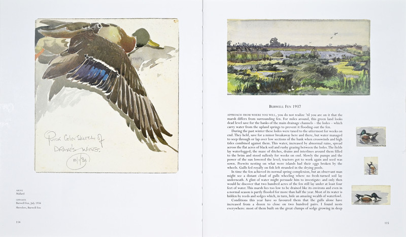 One Man's Birds Page