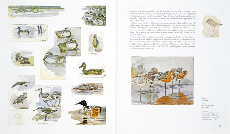 One Man's Birds Page