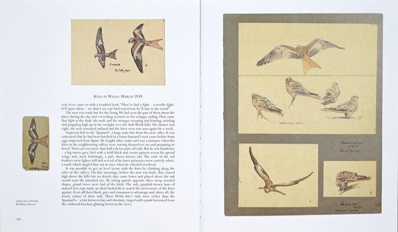 One Man's Birds Page